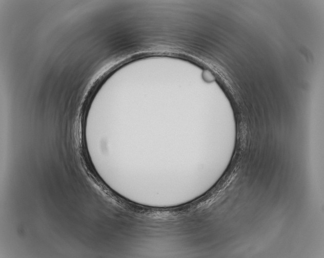 X0000112520982200909281013