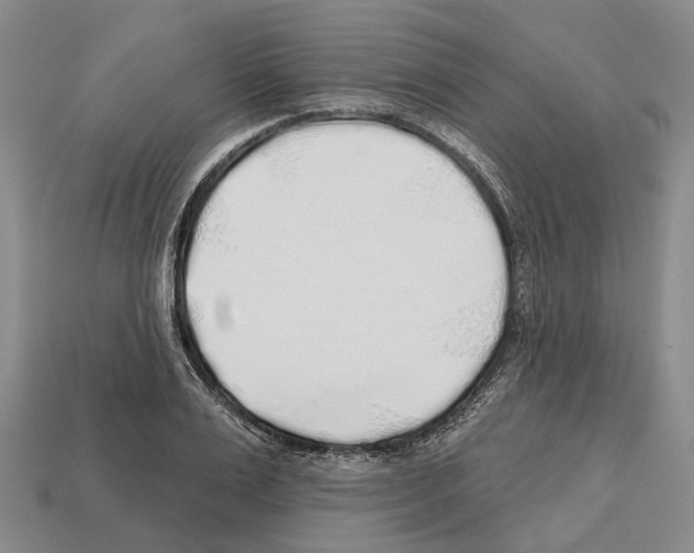 X0000112520983200909281013