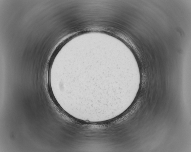 X0000112520984200909281013