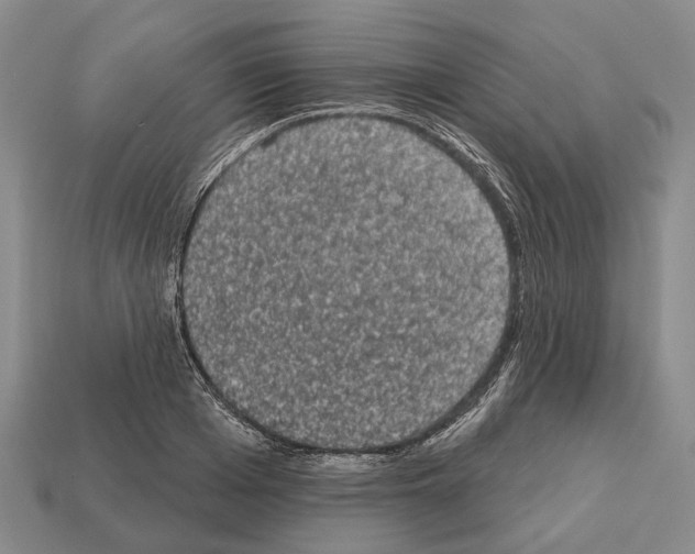 X0000112520985200909281013