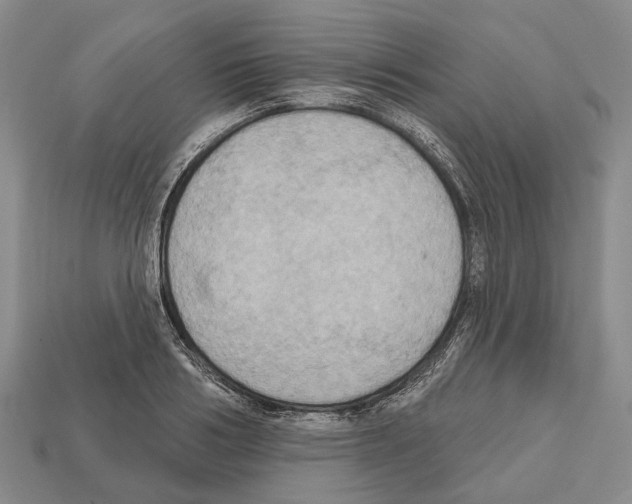 X0000112520986200909281013