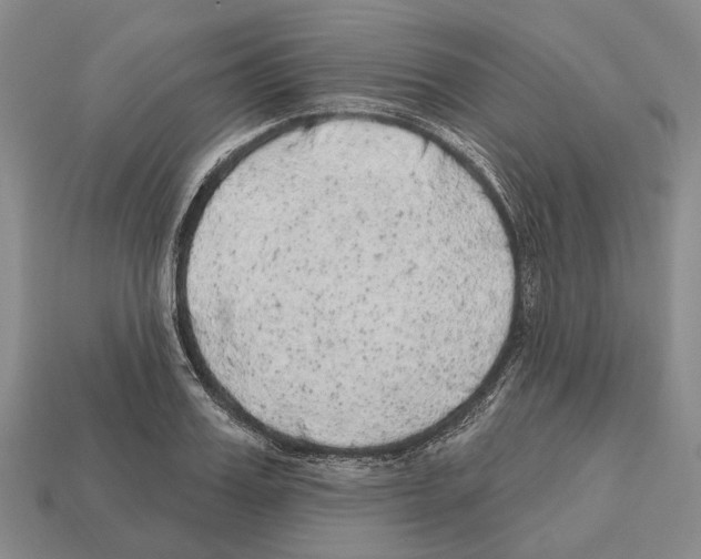 X0000112520987200909281013