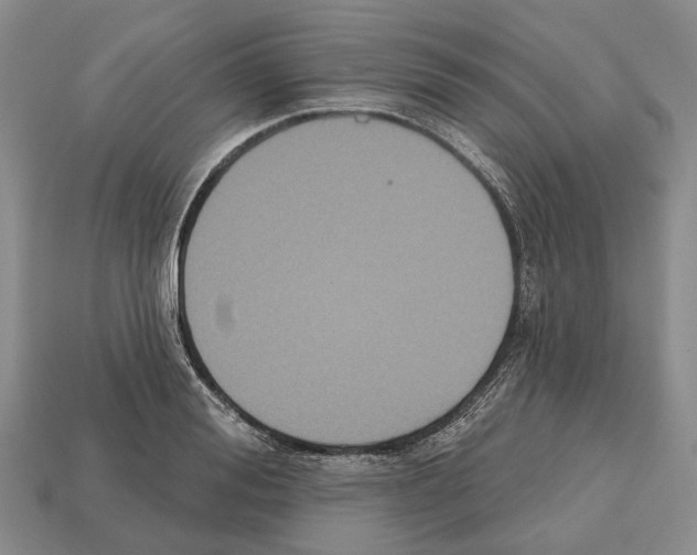 X0000112520988200909281013