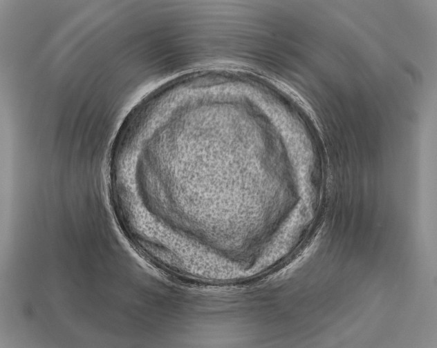 X0000112520989200909281013