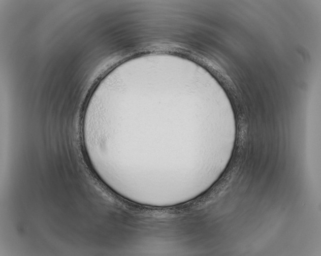 X0000112520990200909281013