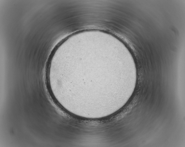 X0000112520991200909281013
