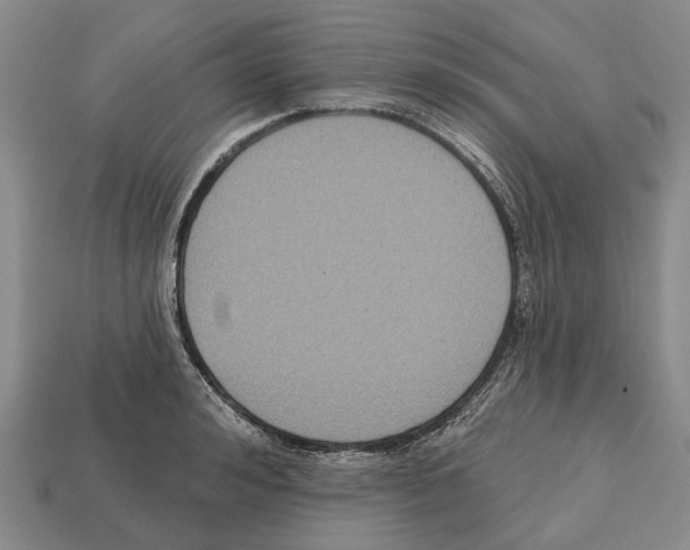 X0000112520992200909281013