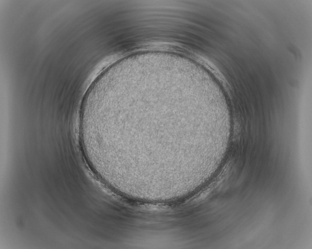 X0000112520994200909281013