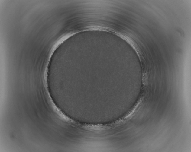 X0000112520995200909281013