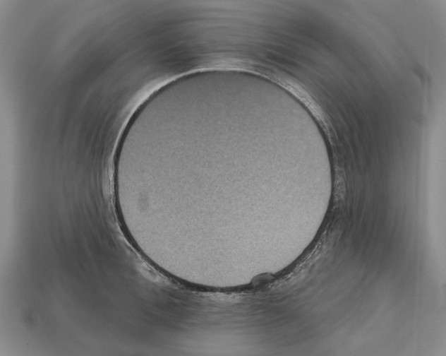 X0000112520996200909281013