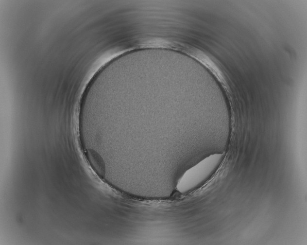 X0000112521000200909281013