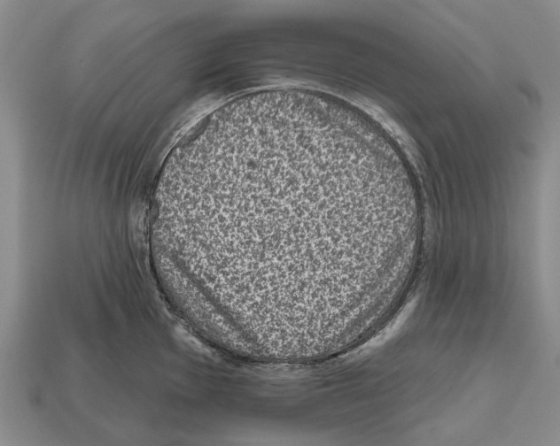 X0000112521001200909281013