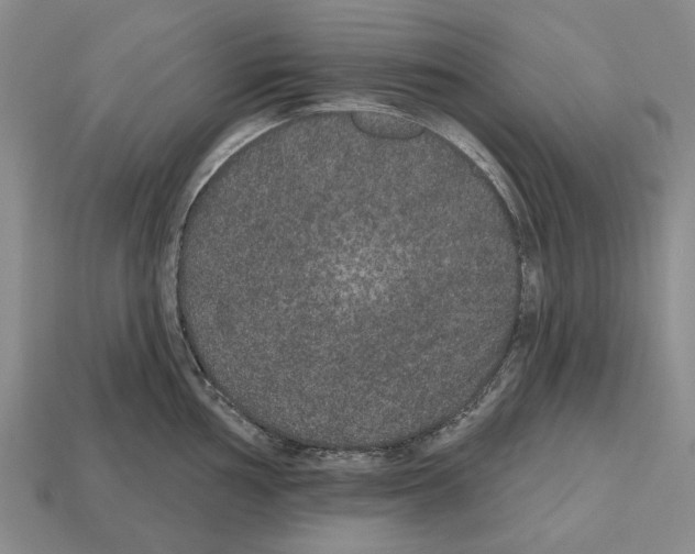 X0000112521002200909281013