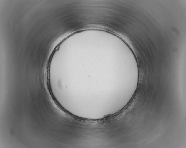 X0000112521003200909281013