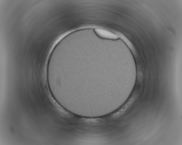 X0000112521004200909281013