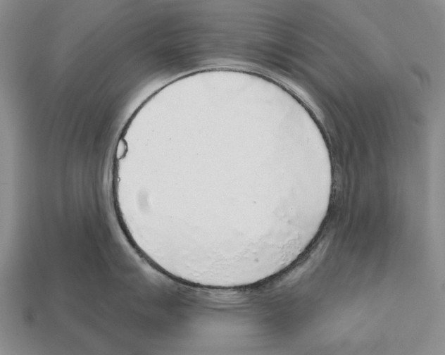 X0000112521007200909281013