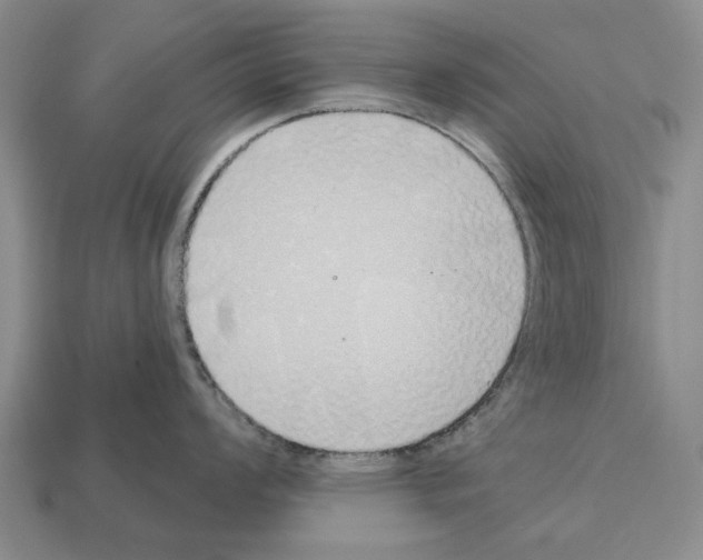X0000112521008200909281013
