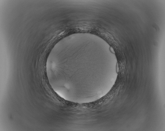 X0000112521009200909281012