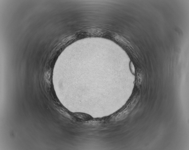 X0000112521010200909281012