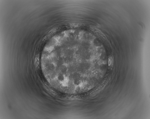 X0000112521011200909281012