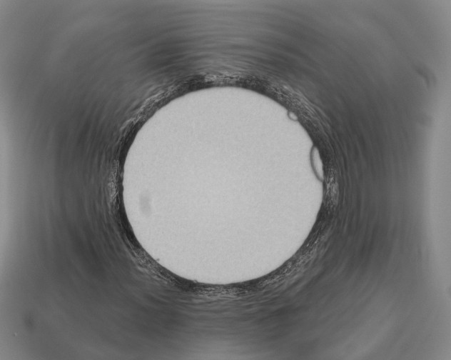X0000112521012200909281012