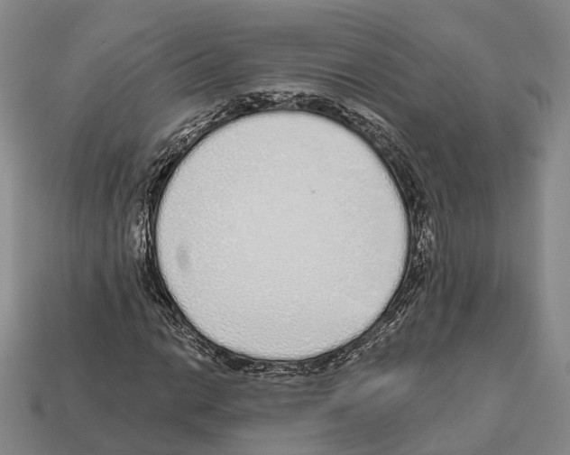 X0000112521014200909281012