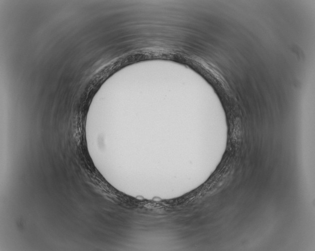 X0000112521015200909281012