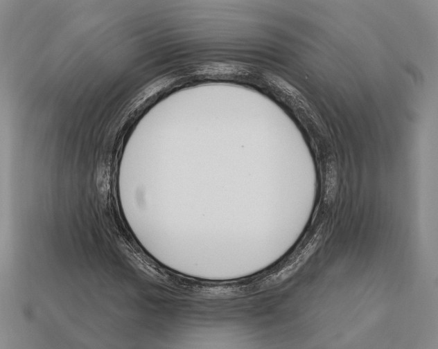 X0000112521017200909281012