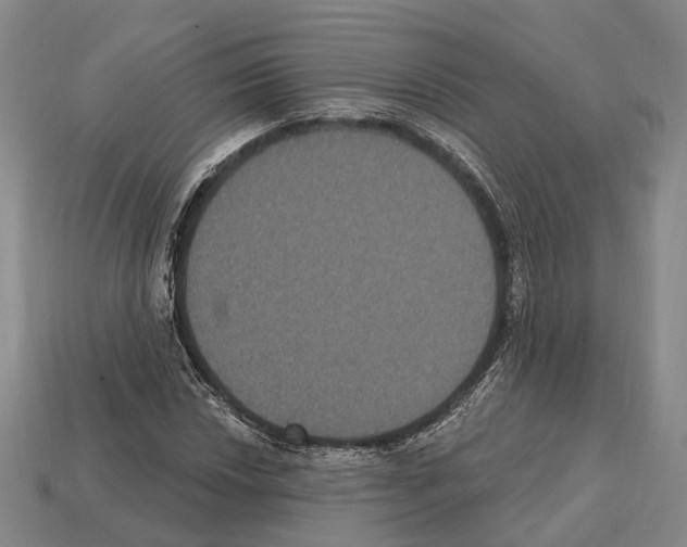 X0000112521018200909281012
