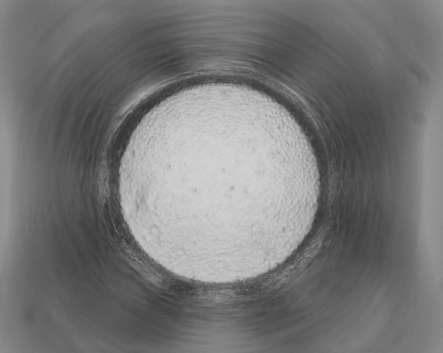 X0000112521019200909281012