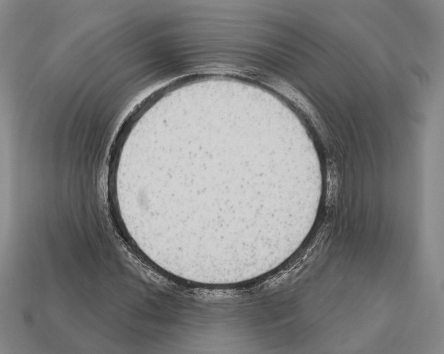 X0000112521020200909281012