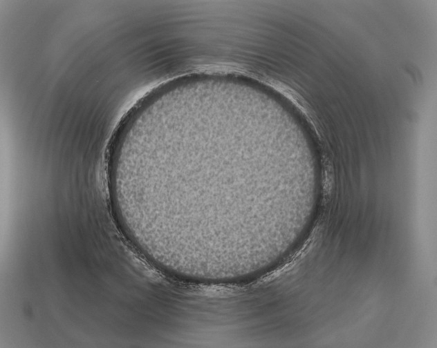 X0000112521022200909281012