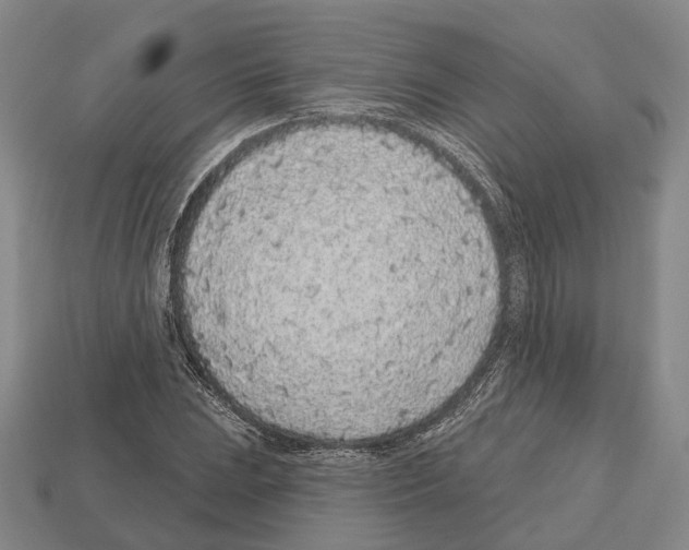 X0000112521023200909281012