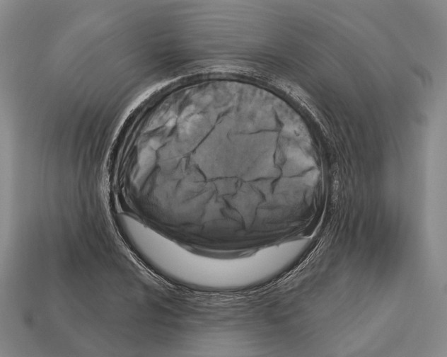 X0000112521024200909281012