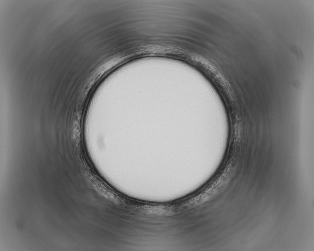 X0000112521025200909281012