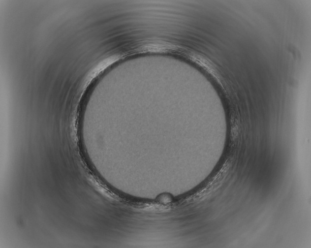 X0000112521026200909281012