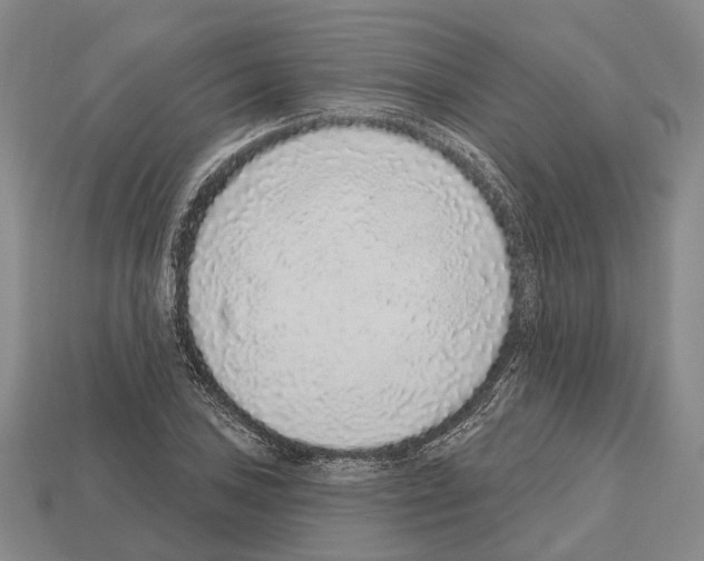 X0000112521027200909281012