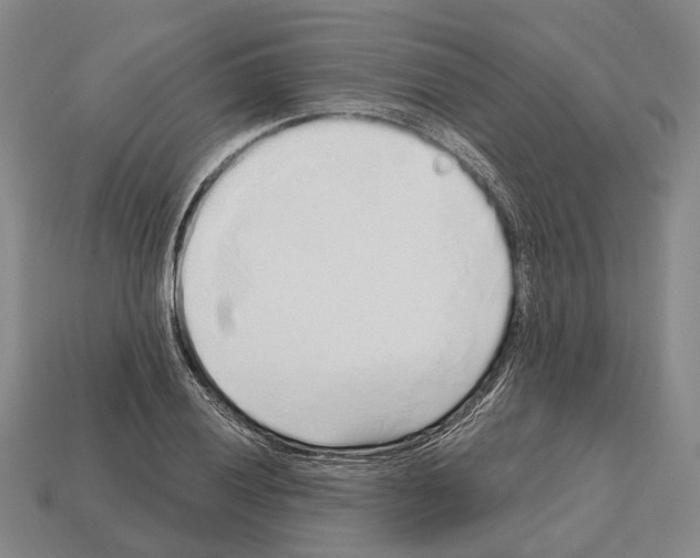X0000112521028200909281012