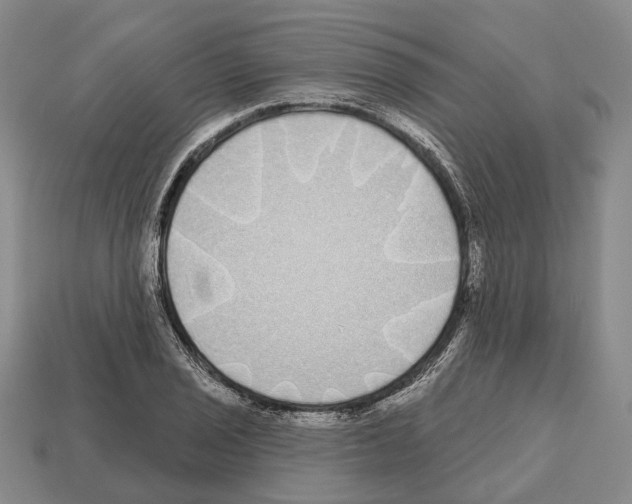 X0000112521029200909281012