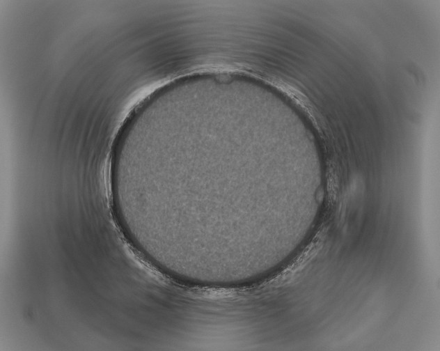 X0000112521030200909281012