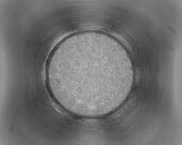 X0000112521031200909281012