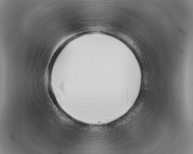 X0000112521032200909281012