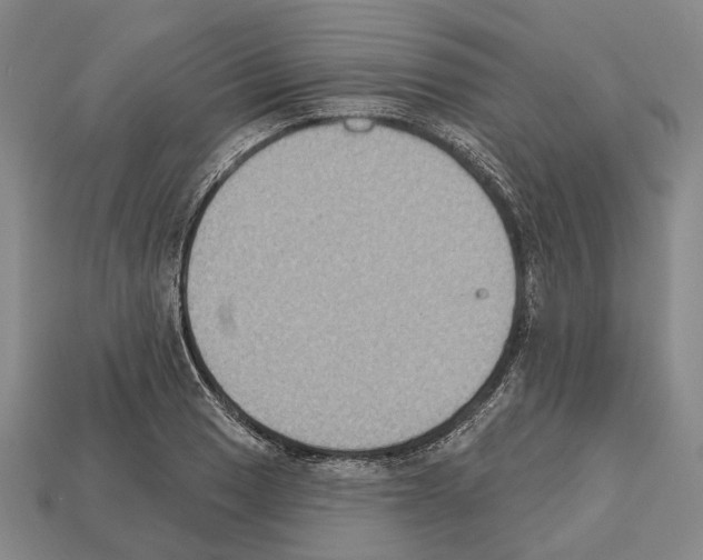 X0000112521033200909281012