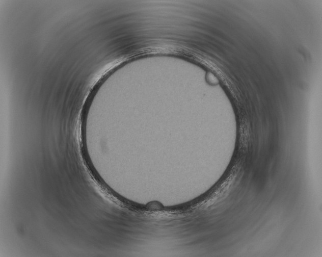 X0000112521034200909281012
