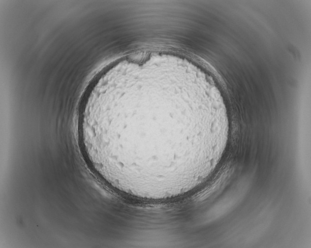 X0000112521035200909281012