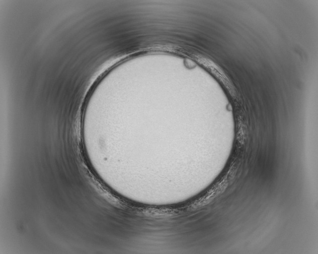 X0000112521036200909281012