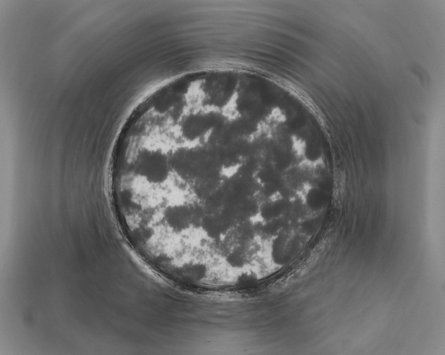 X0000112521037200909281012