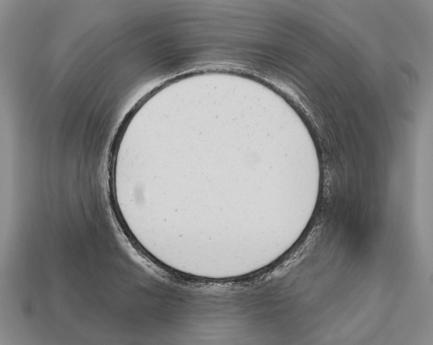 X0000112521038200909281012
