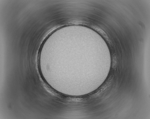 X0000112521039200909281012
