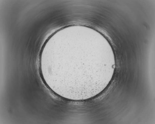 X0000112521040200909281012